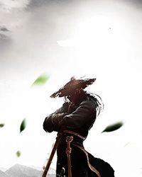 主角余笙季泊常全集阅读