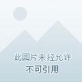 跑男之制霸好莱坞全集